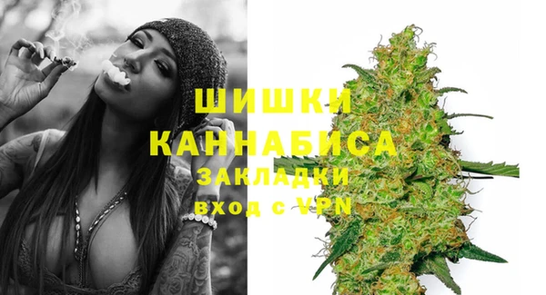 ешки Аркадак