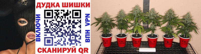 Конопля марихуана  Бодайбо 